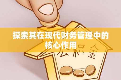 乌鲁木齐探索其在现代财务管理中的核心作用