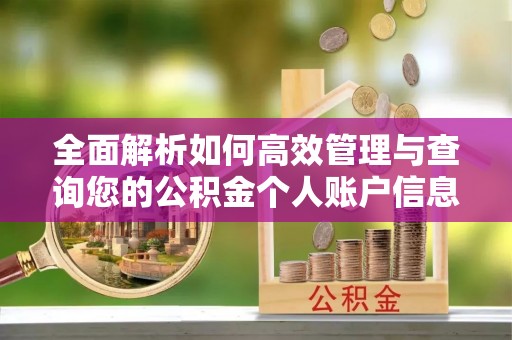 乌鲁木齐全面解析如何高效管理与查询您的公积金个人账户信息