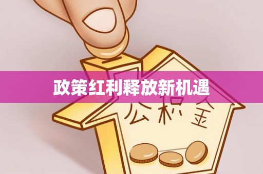 乌鲁木齐政策红利释放新机遇